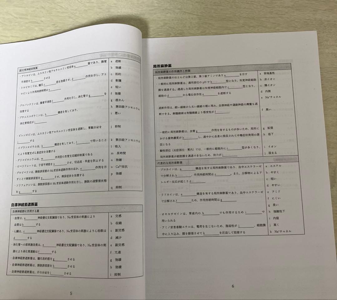 薬理振り返りプリント 111回　薬剤師国家試験　薬学ゼミナール　非売品