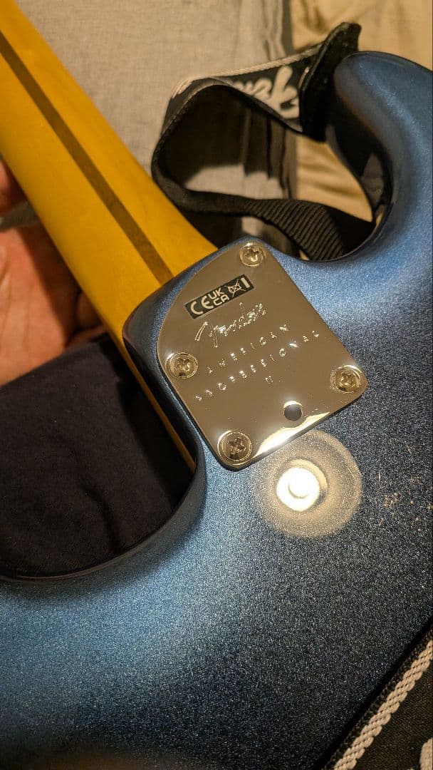 Fender AmericanProfessional II ストラトキャスター