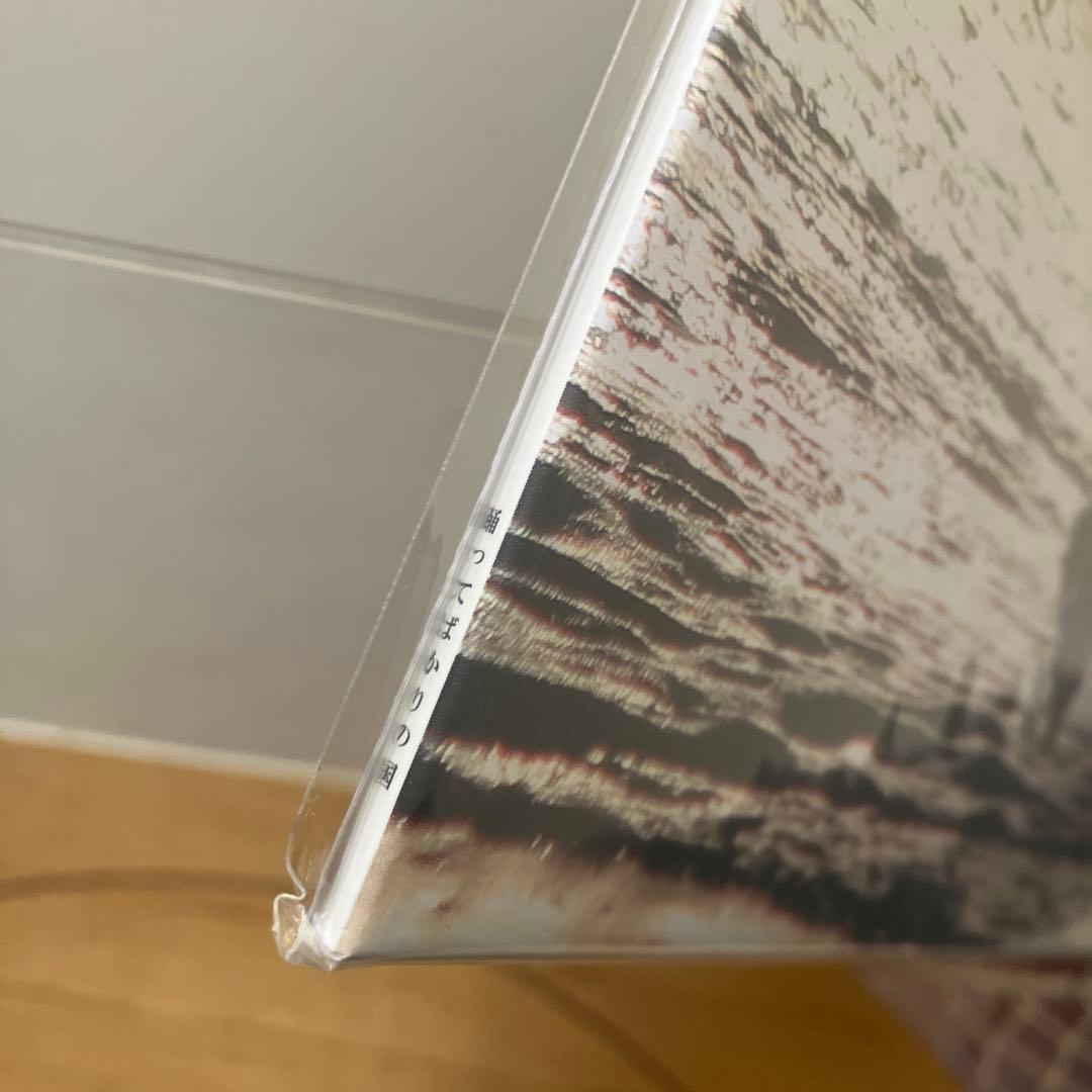 踊ってばかりの国／On the shore LP 未開封