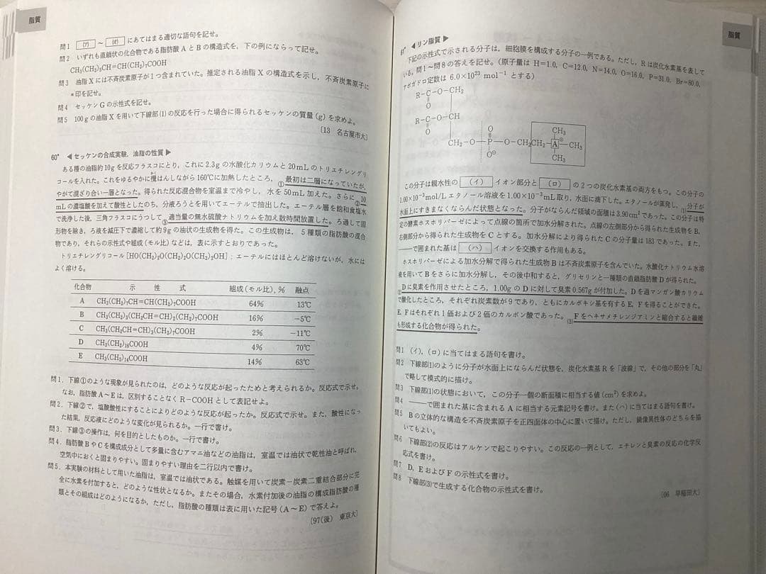 駿台予備校 深く学べる有機化学 2025年度 夏期講習