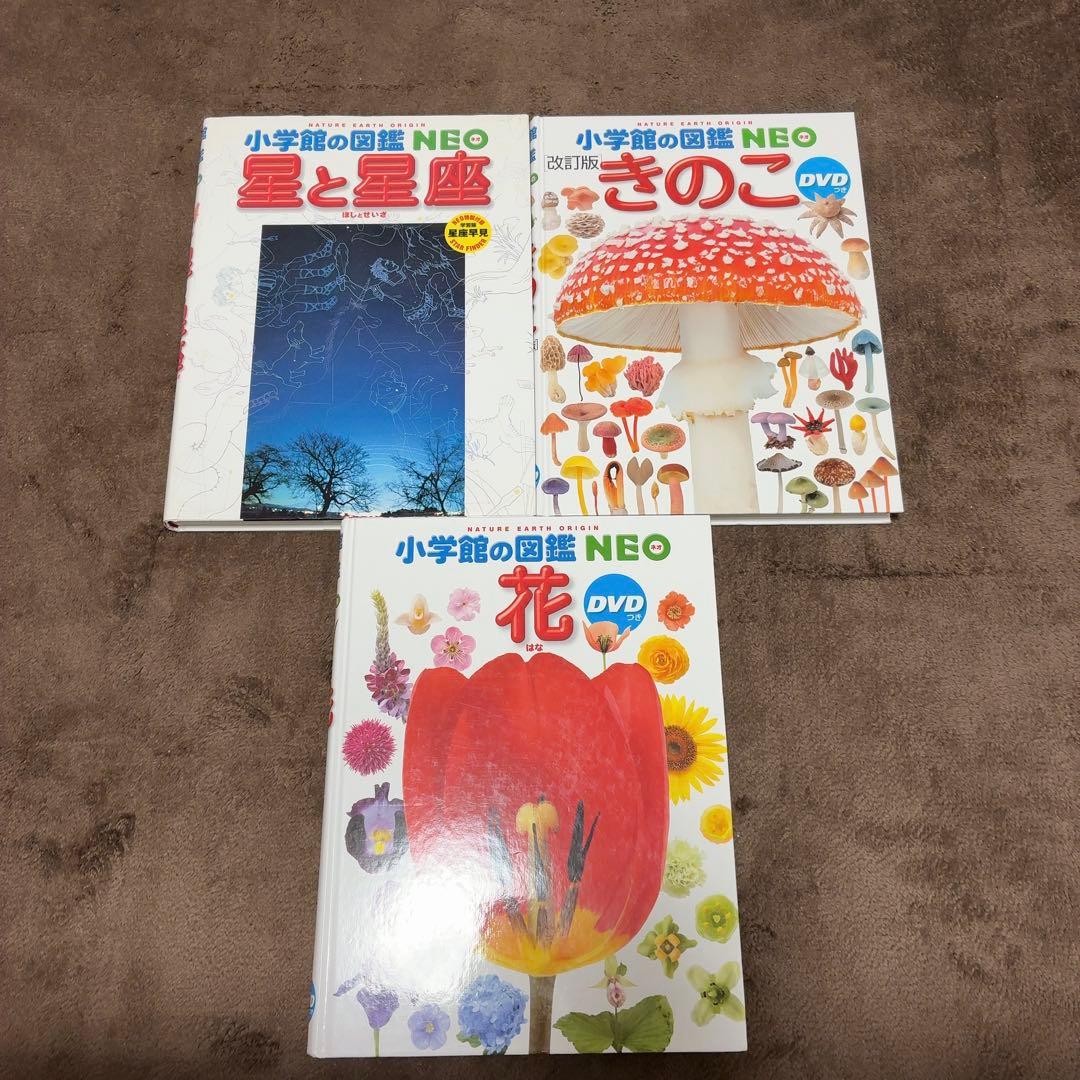 小学館の図鑑neo 11冊セット