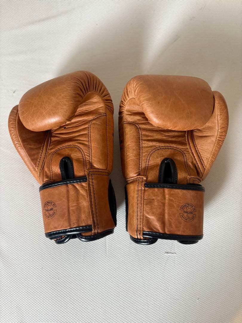 Fairtex ボクシンググローブ ブラウン 8オンス