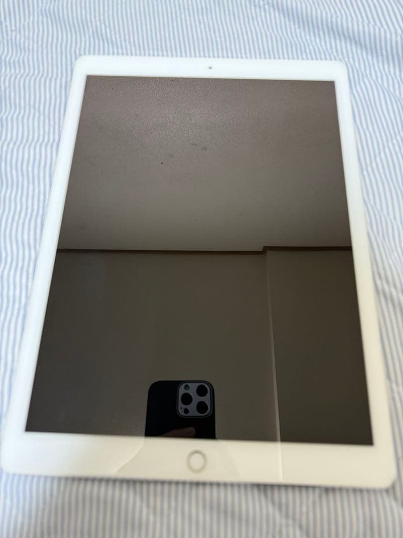iPad Pro (12.9インチ) 第2世代 256GB Cellular