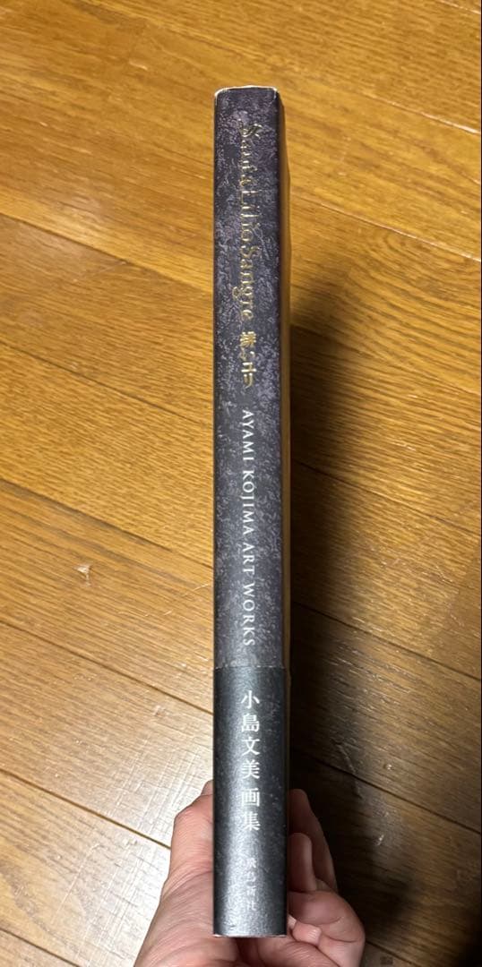 小島文美画集　緋いユリ