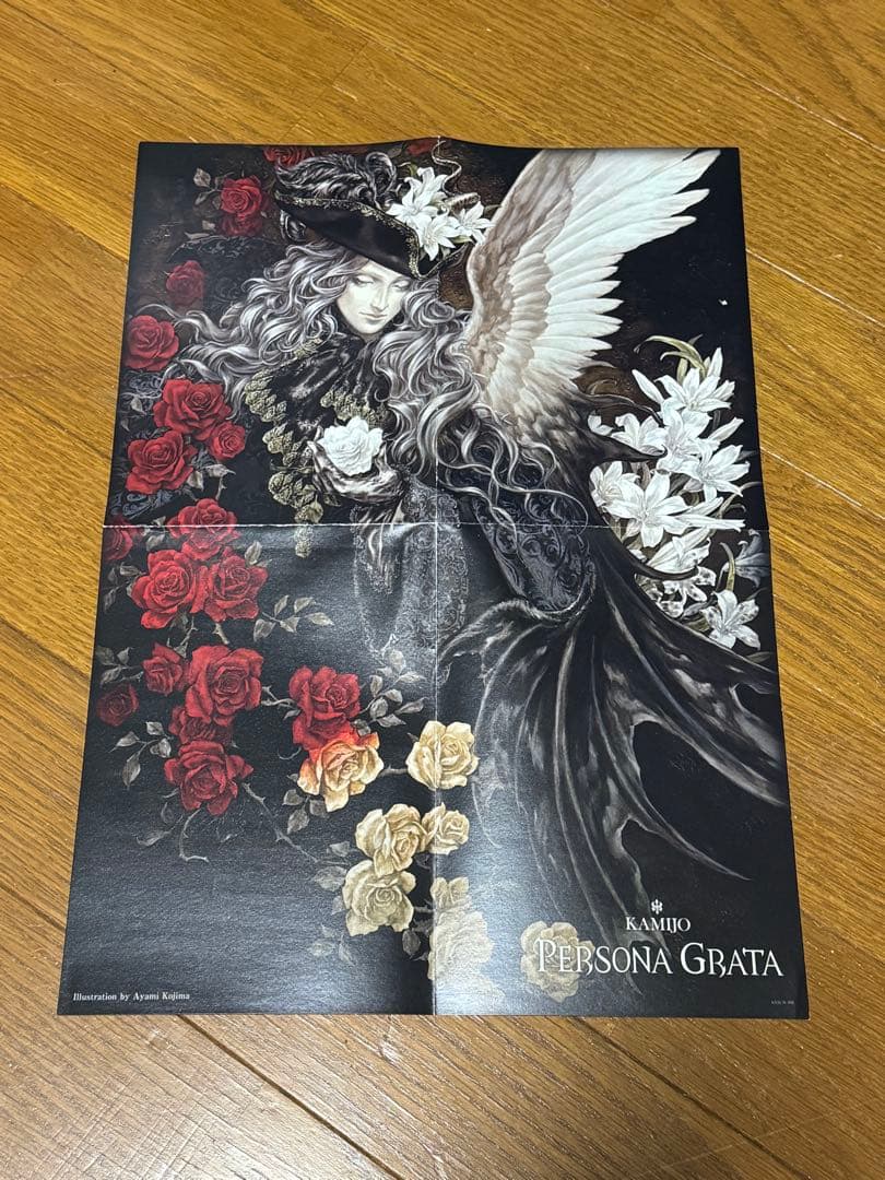 小島文美画集　緋いユリ