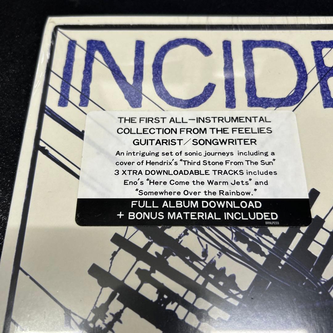 GLENN MERCER／INCIDENTAL HUM アナログレコード