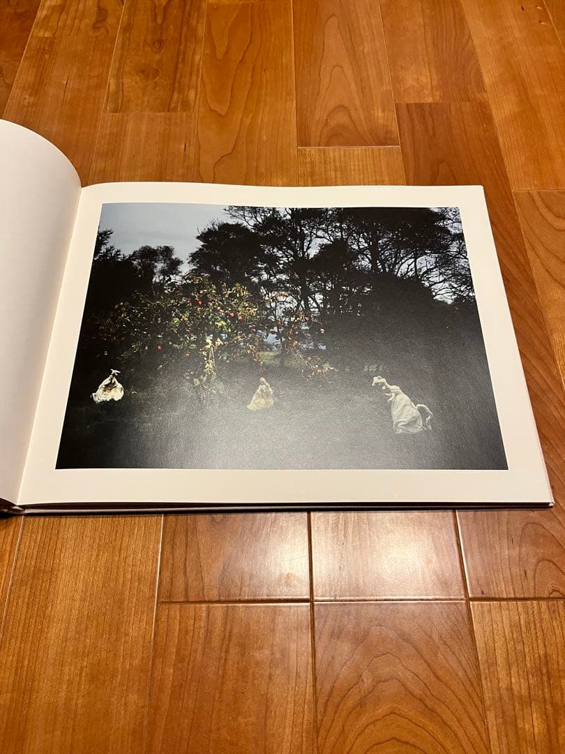 アンダーカバー GRACE 写真集 1500部限定 入手困難