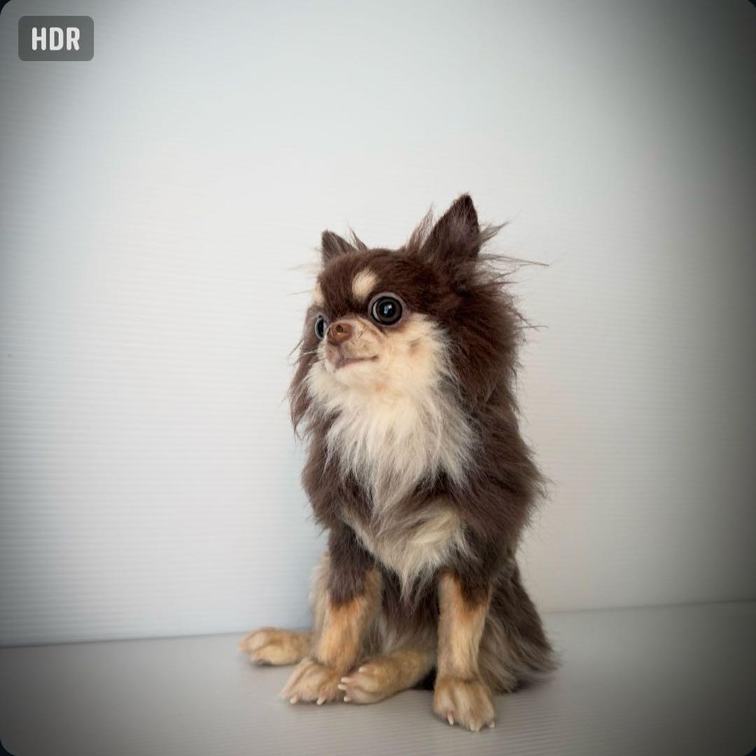 羊毛フェルト　チョコタンチワワ　やる気ないお座りポーズ　犬　チワワ　一点物