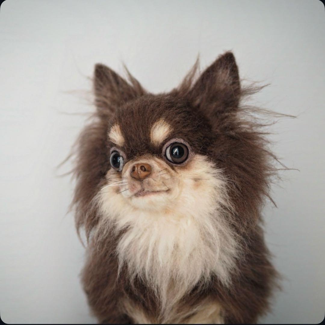 羊毛フェルト　チョコタンチワワ　やる気ないお座りポーズ　犬　チワワ　一点物