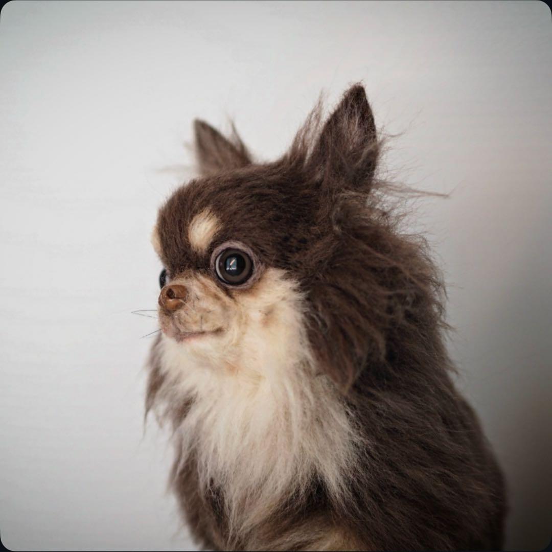 羊毛フェルト　チョコタンチワワ　やる気ないお座りポーズ　犬　チワワ　一点物