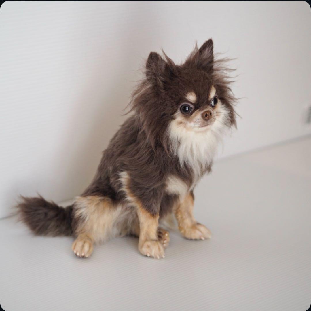 羊毛フェルト　チョコタンチワワ　やる気ないお座りポーズ　犬　チワワ　一点物