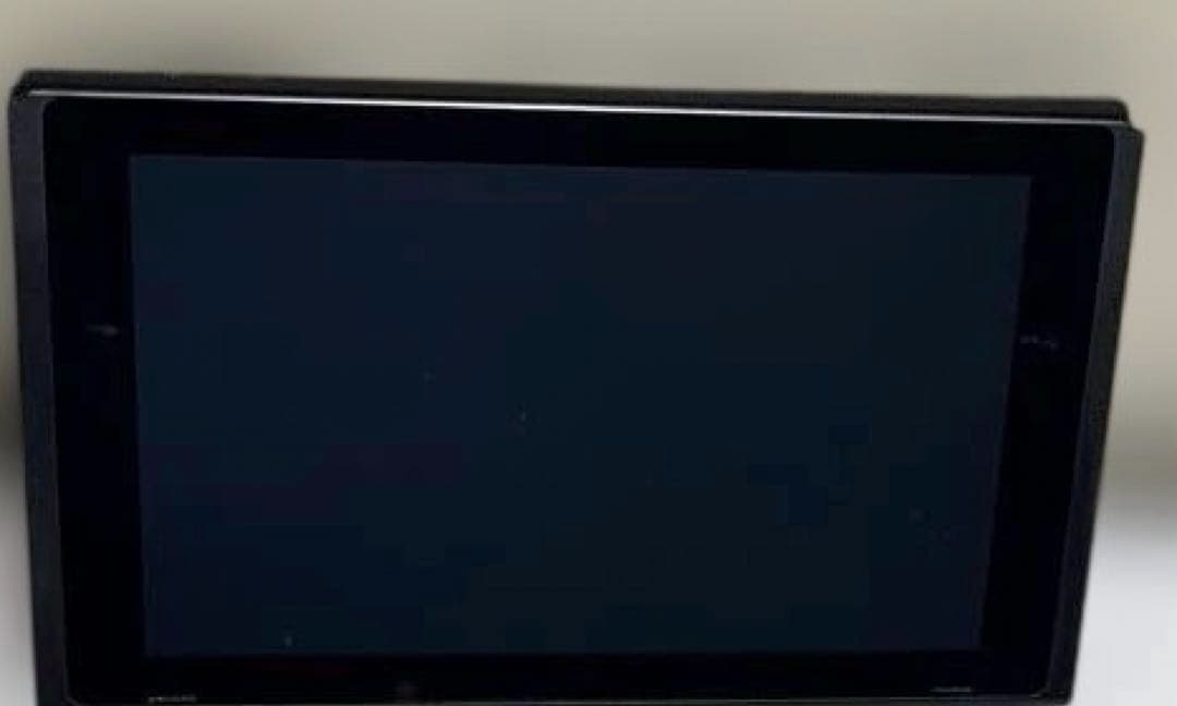 Nintendo Switch あつまれ どうぶつの森デザイン　microSD付