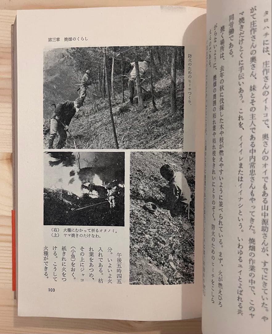 希少本 「焼畑のむら」福井勝義著 朝日新聞社