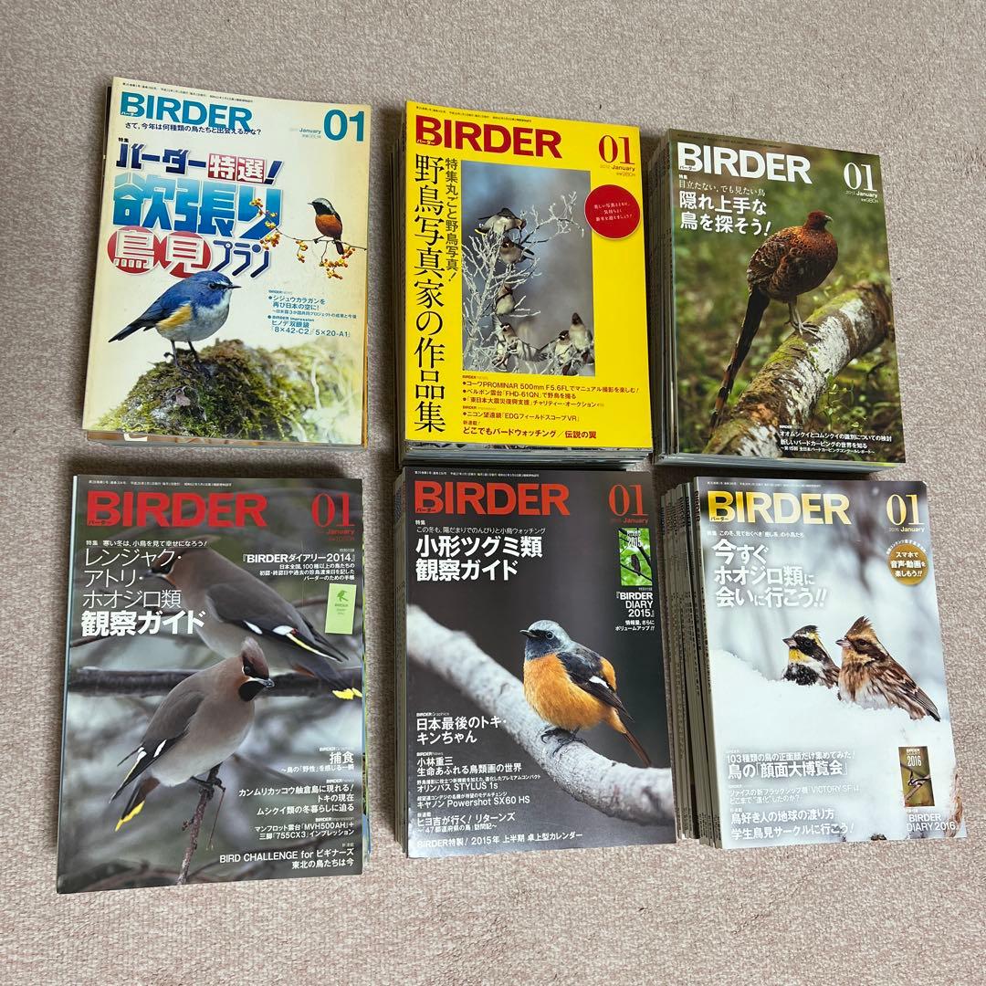 BIRDER バーダー（月刊日本の生物）　　　　　　　　441冊 37年分