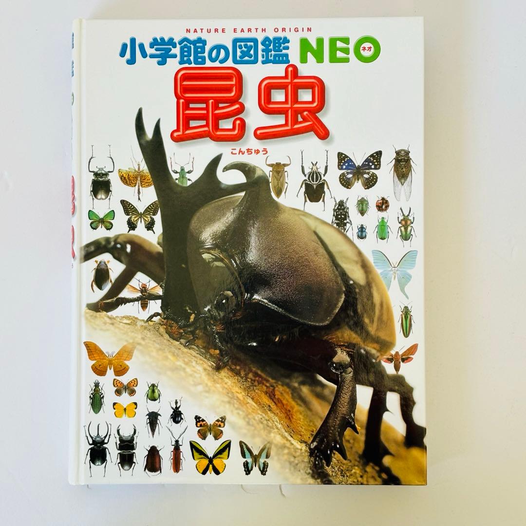 プレNEO くふう　せいかつ ふしぎ げんきの図鑑 4冊 セット図鑑NEO ５冊