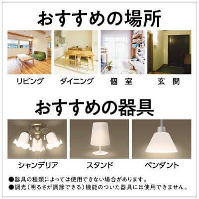 Panasonic LDC5L-E17/C/D/W/2　未使用12個セット
