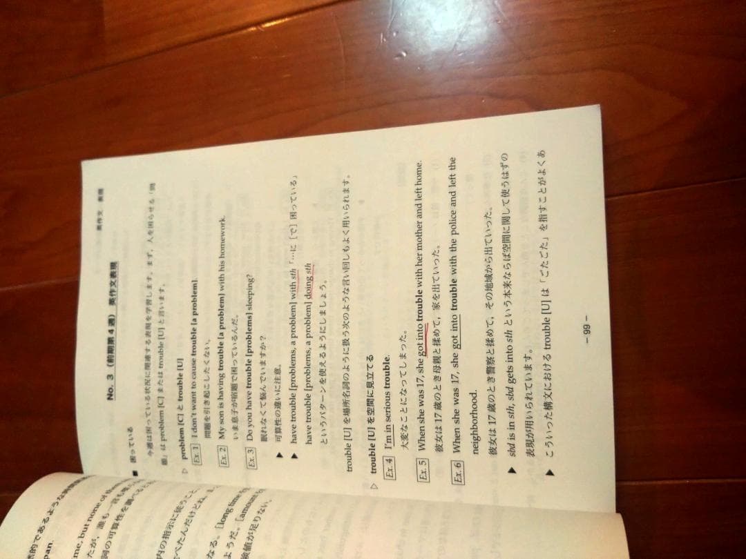 値下げ！【鉄緑会】英語 高2 テキスト5冊セット 2024年 東大合格者使用