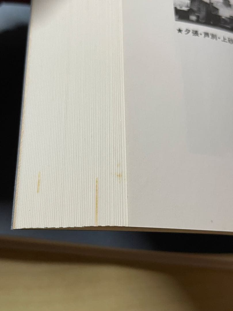 柳沢信　写真
