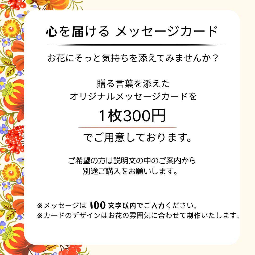 ㊼ 雅赤プレミアムしめ縄リース｜和モダン迎春飾り 正月飾り 迎春リース
