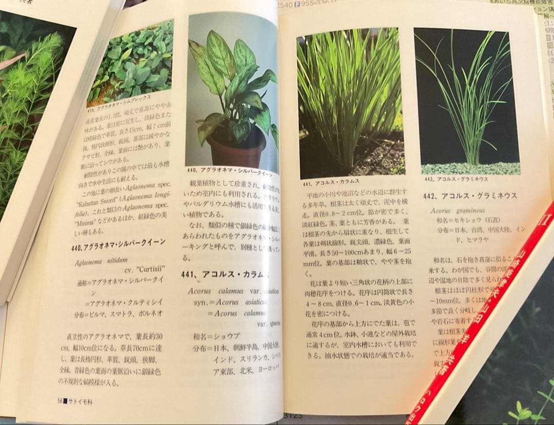 世界の水草 I II IIIセット　ハロウ出版社