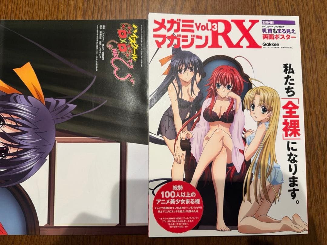メガミマガジンRX voi.3