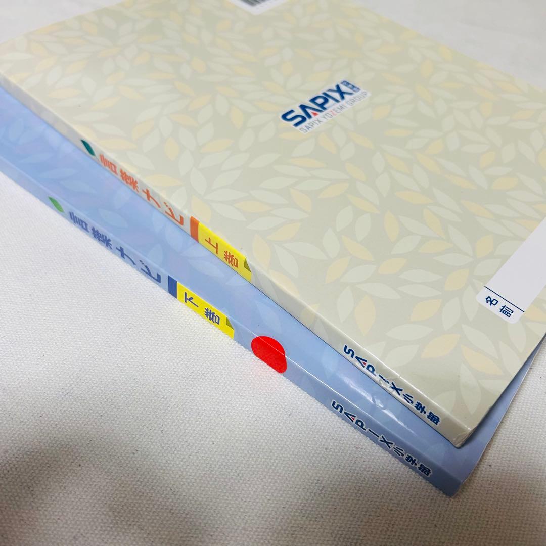 19-20あ　SAPIX 美品　サピックス　言葉ナビ　上巻　下巻　重要教材