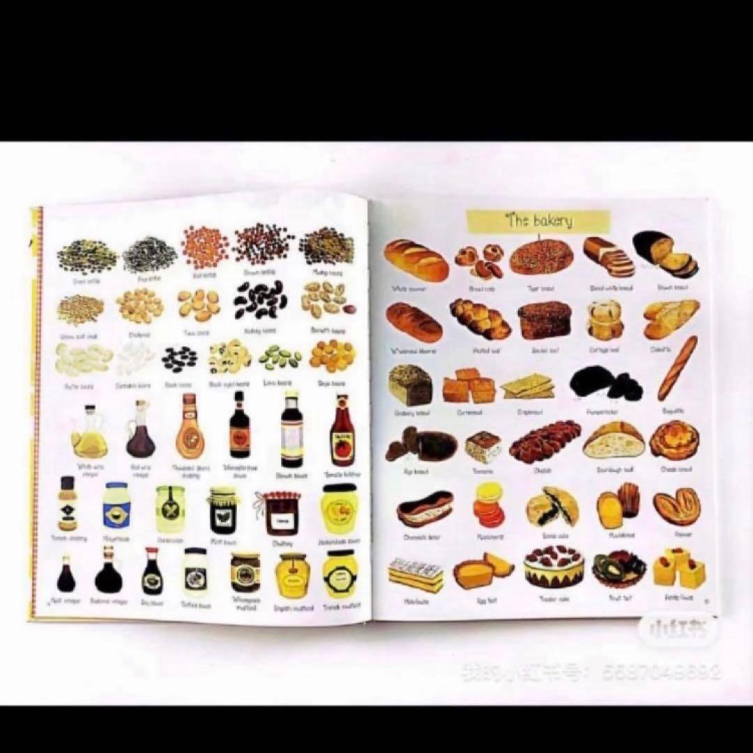 テーマ別の1000 Things英語図鑑　5冊セット　英語絵本　子供向け