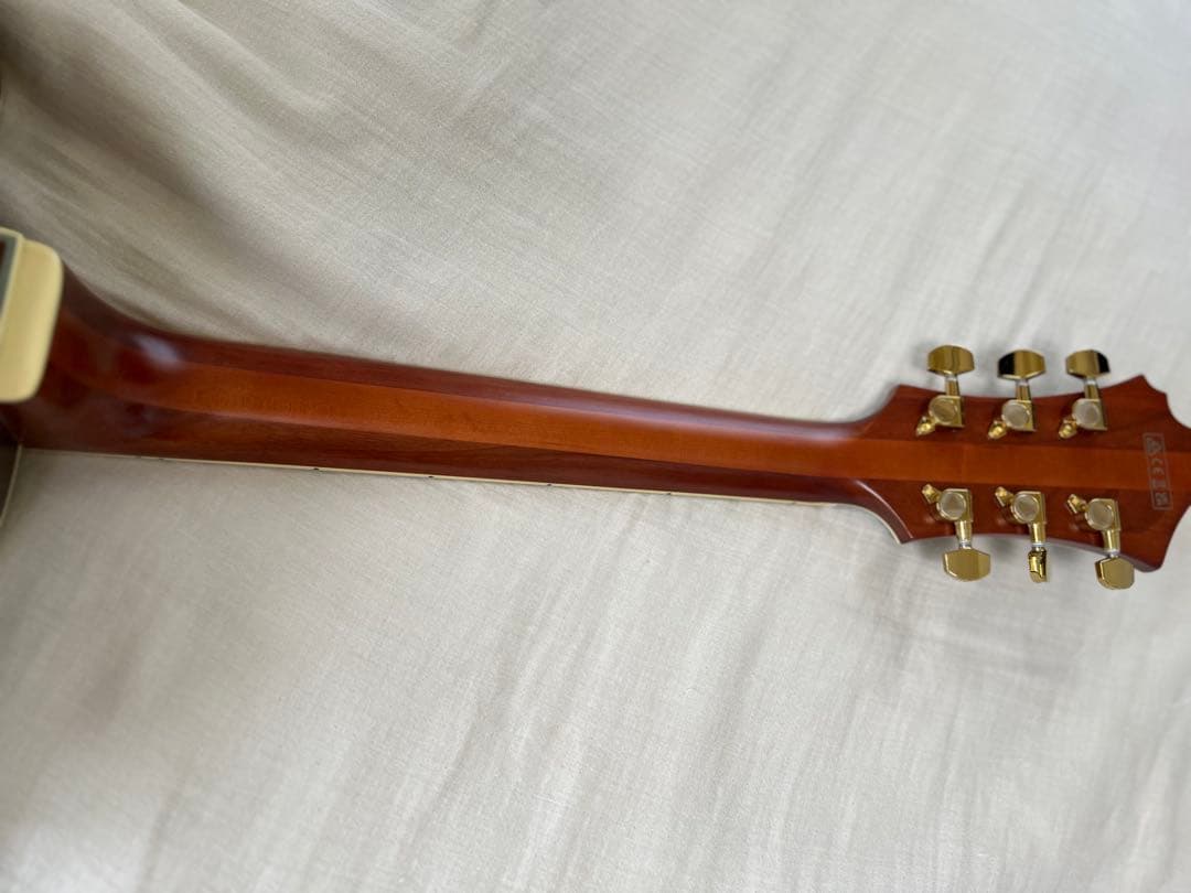 y*i様 最終値下げ！Ibanez フルアコ パット・メセニーモデル ハードケー