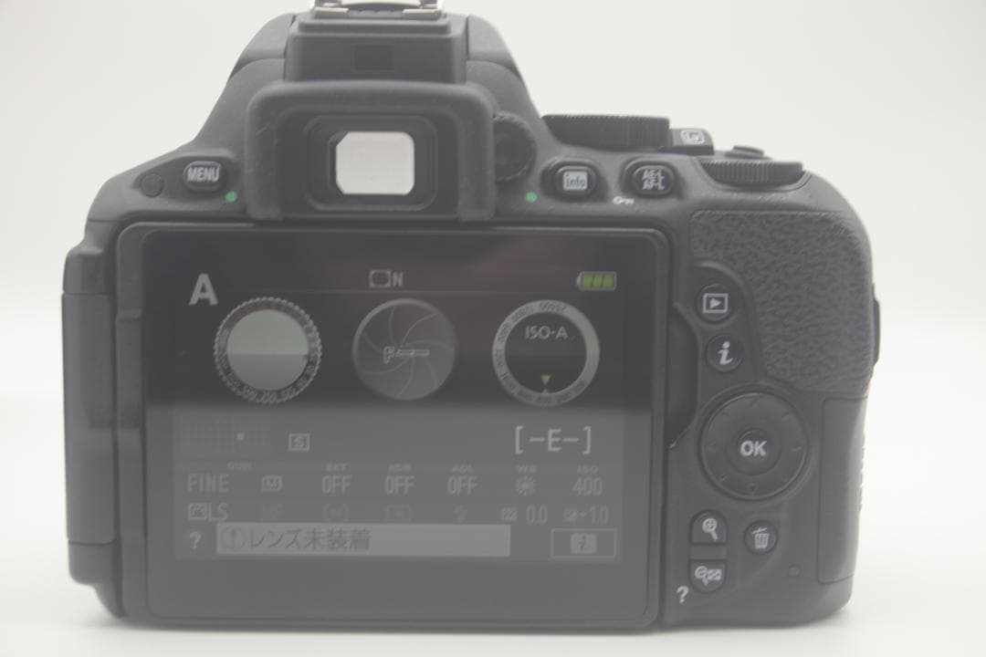 シャッター数18,384枚 Nikon D5500 +AF-S 18-55mm