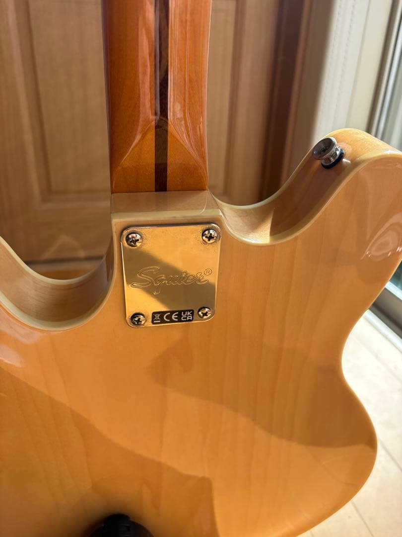Squier STARCASTER 目立った傷や汚れなし