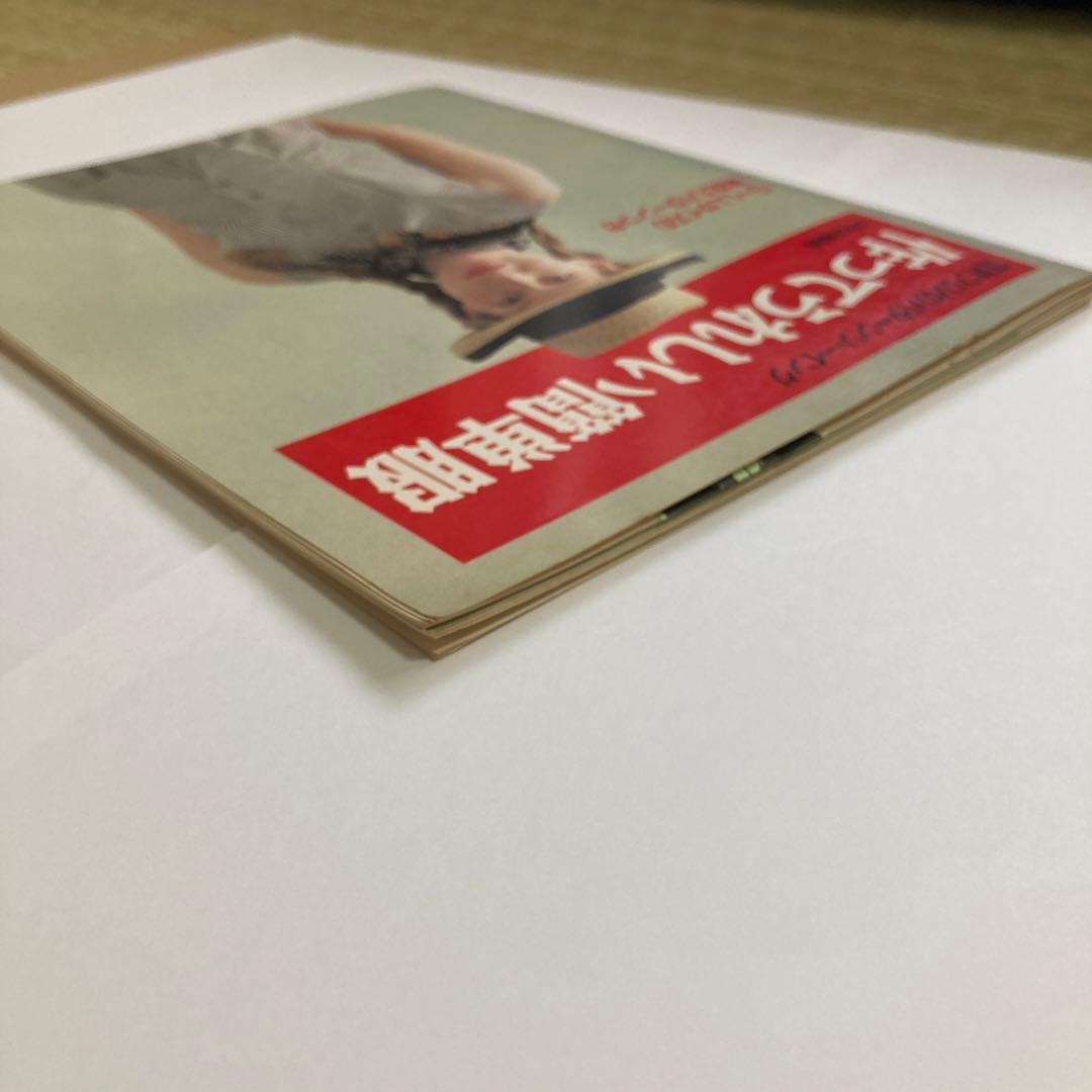 型紙付き 笠井フジノ の パターンソーイング 作ってうれしい簡単服