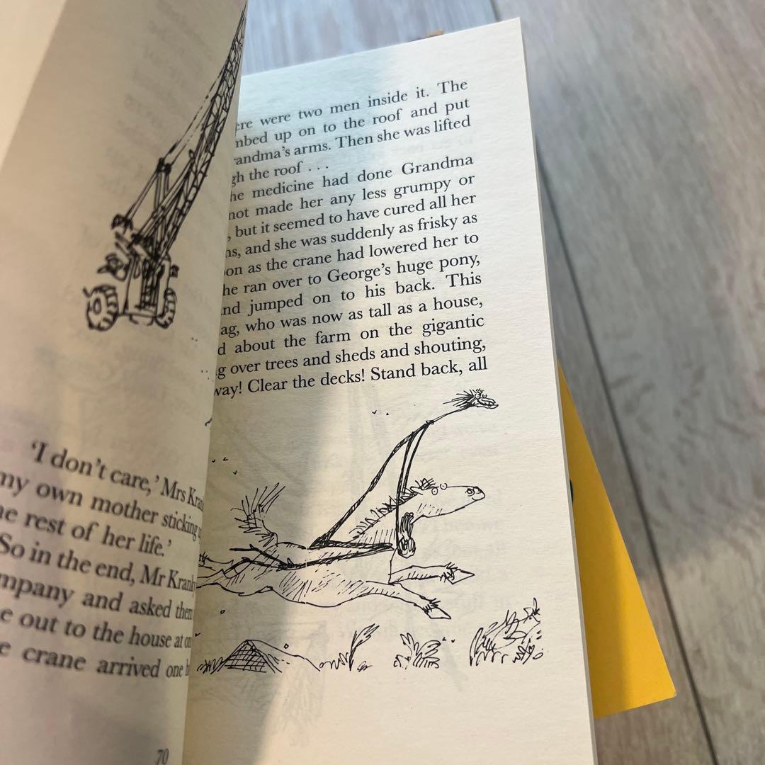 Roald Dahl コレクション 11冊セット