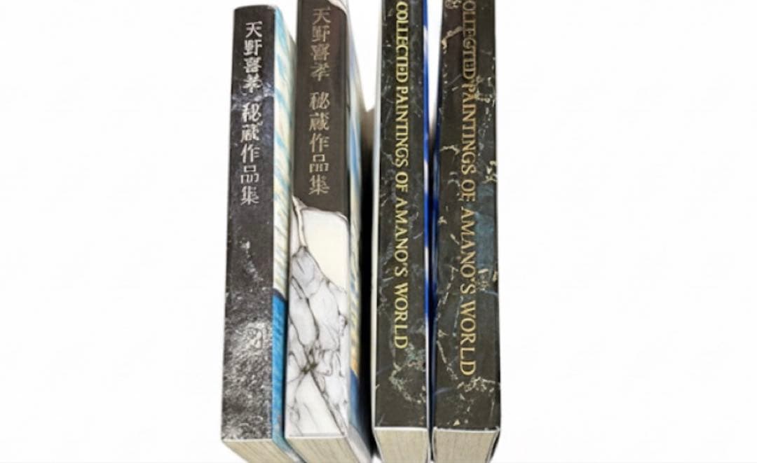 天野喜孝 秘蔵作品集＋AMANO’S WORLD 画集2冊セット オマケ付レア