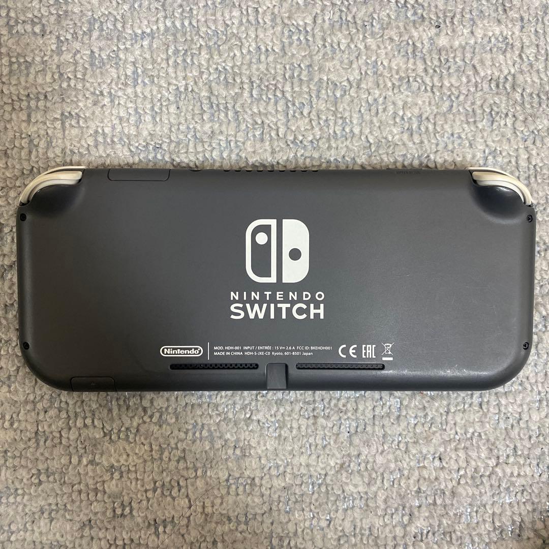 Nintendo Switch Lite 本体　ケース充電器付き
