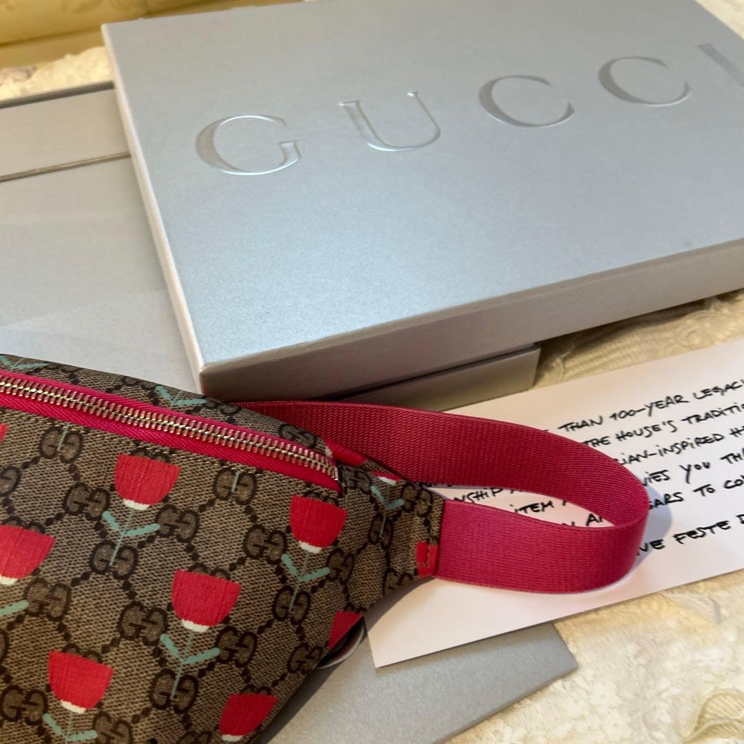 ●最終価格●GUCCI ボディバッグ 斜め掛けバッグ2way レディース用お嬢様