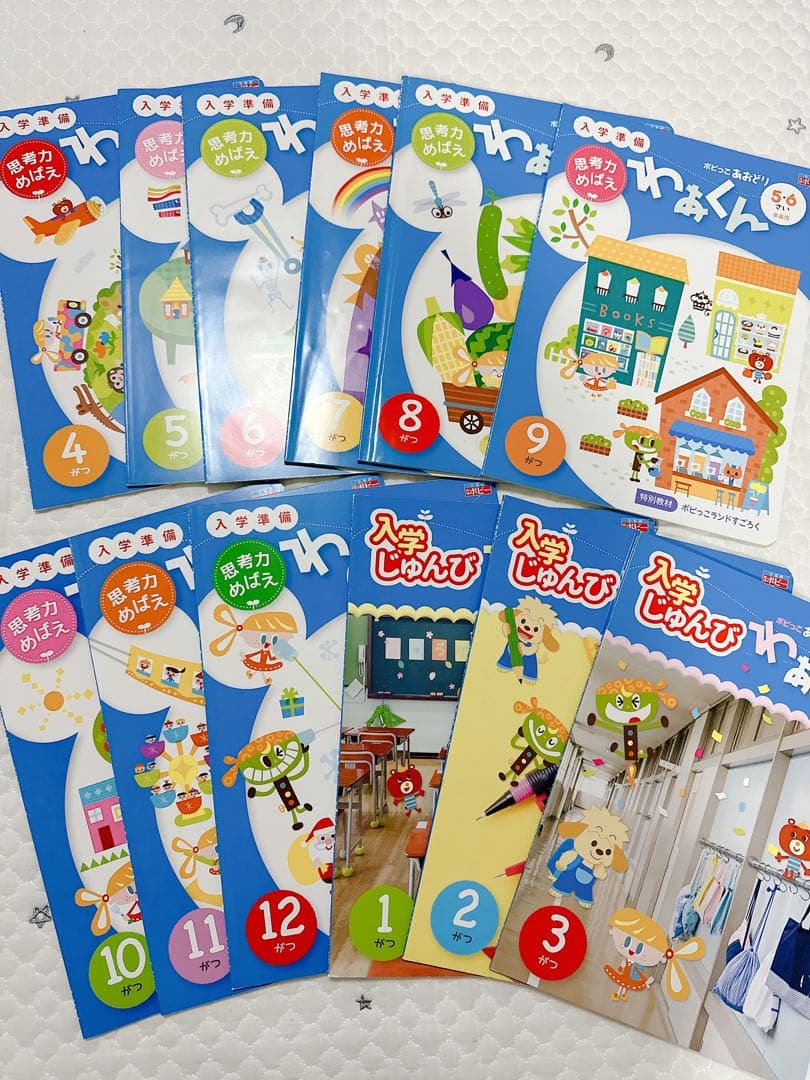ポピー あおどり 1年分セット