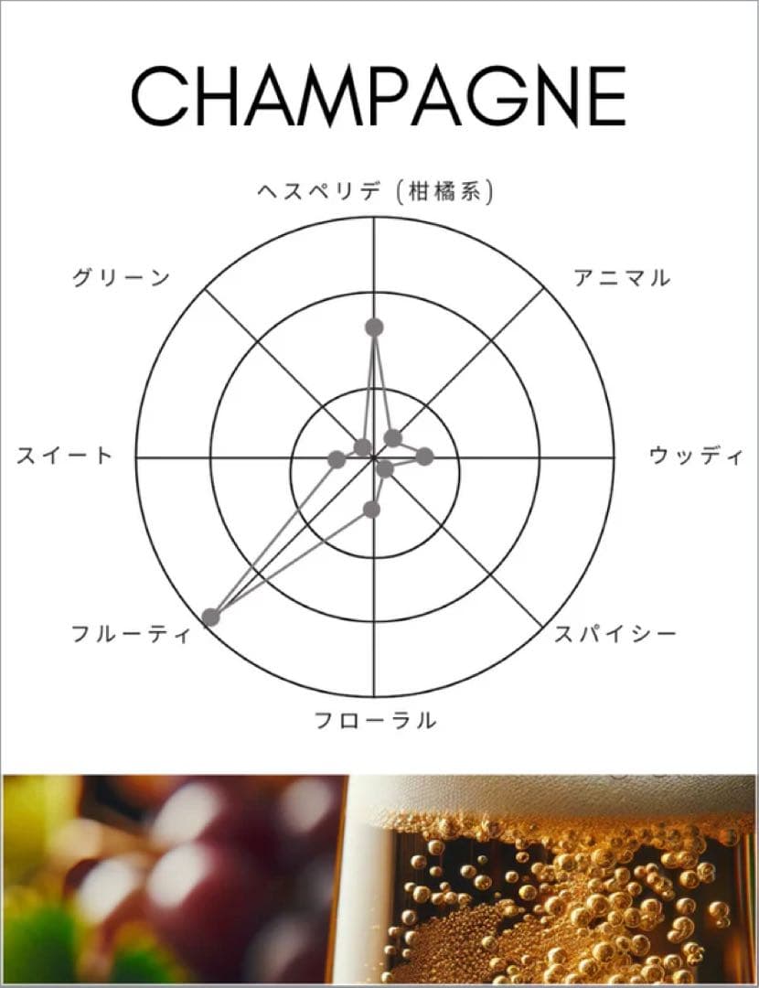 ⭐️新品・未使用 SHOLAYERED 1945BEIGE(ベージュ)+おまけ2個
