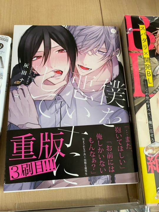 BL漫画 セット売り 作画・ストーリー重視シリーズ！セット売り