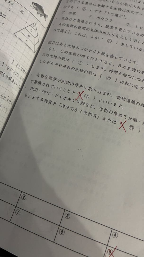 サピックス　6年　理科　通常テキスト　年間フルセット