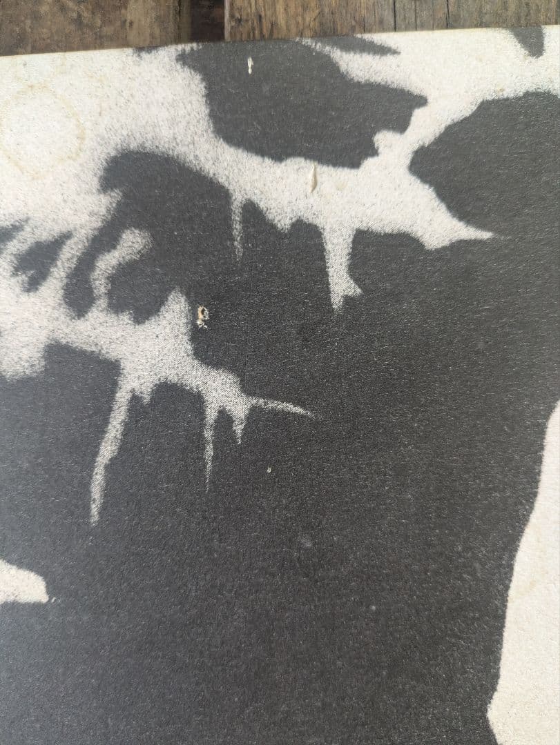 Sigur Ros Untitled #1 シガー・ロス レコード