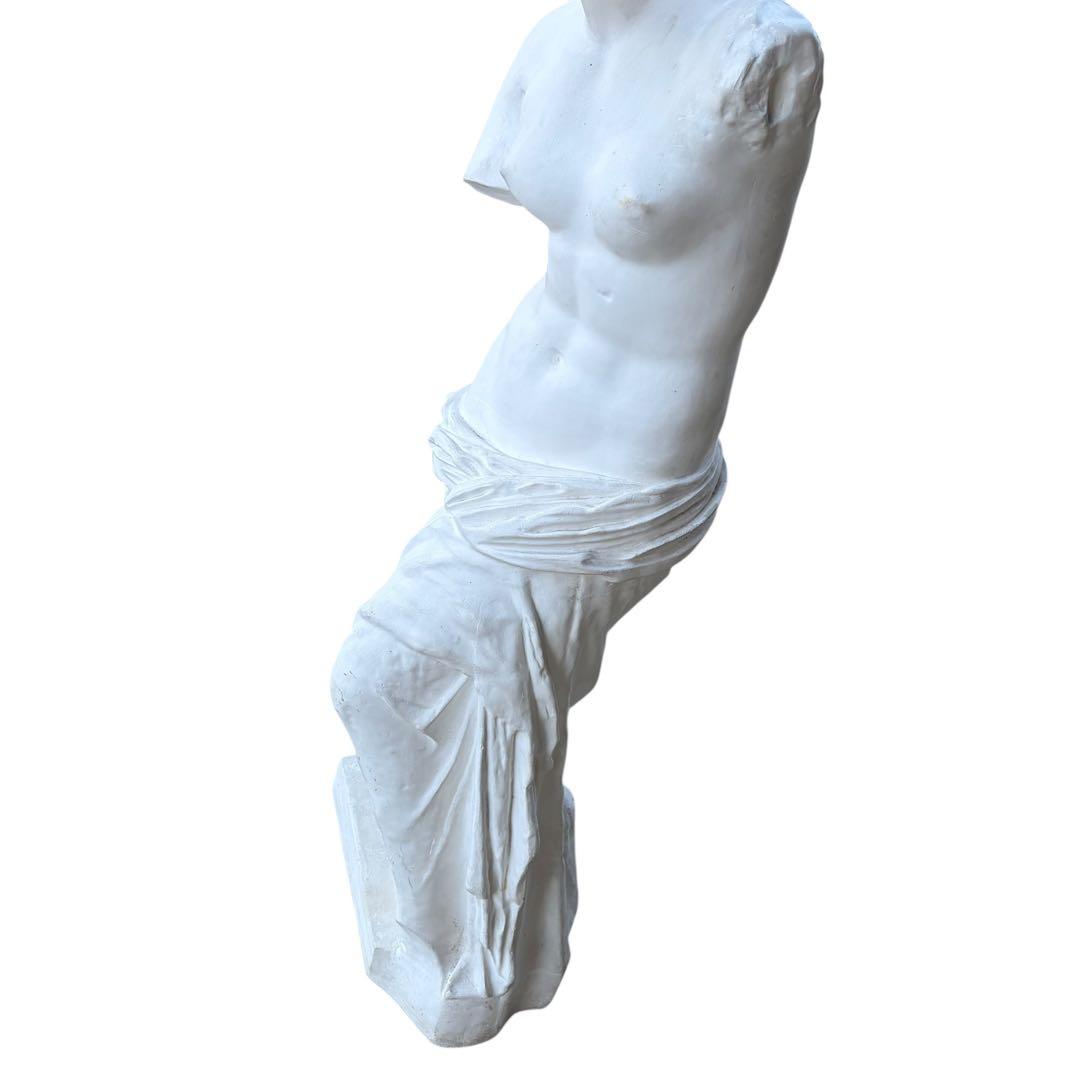 【希少】ミロのヴィーナス 109cm 全身 デッサン 美術