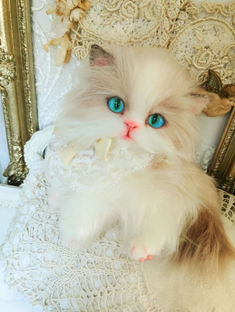 ラグドール♡美人猫♡生後6ヶ月子猫ちゃん♡アートドール♡ぬいぐるみ♡