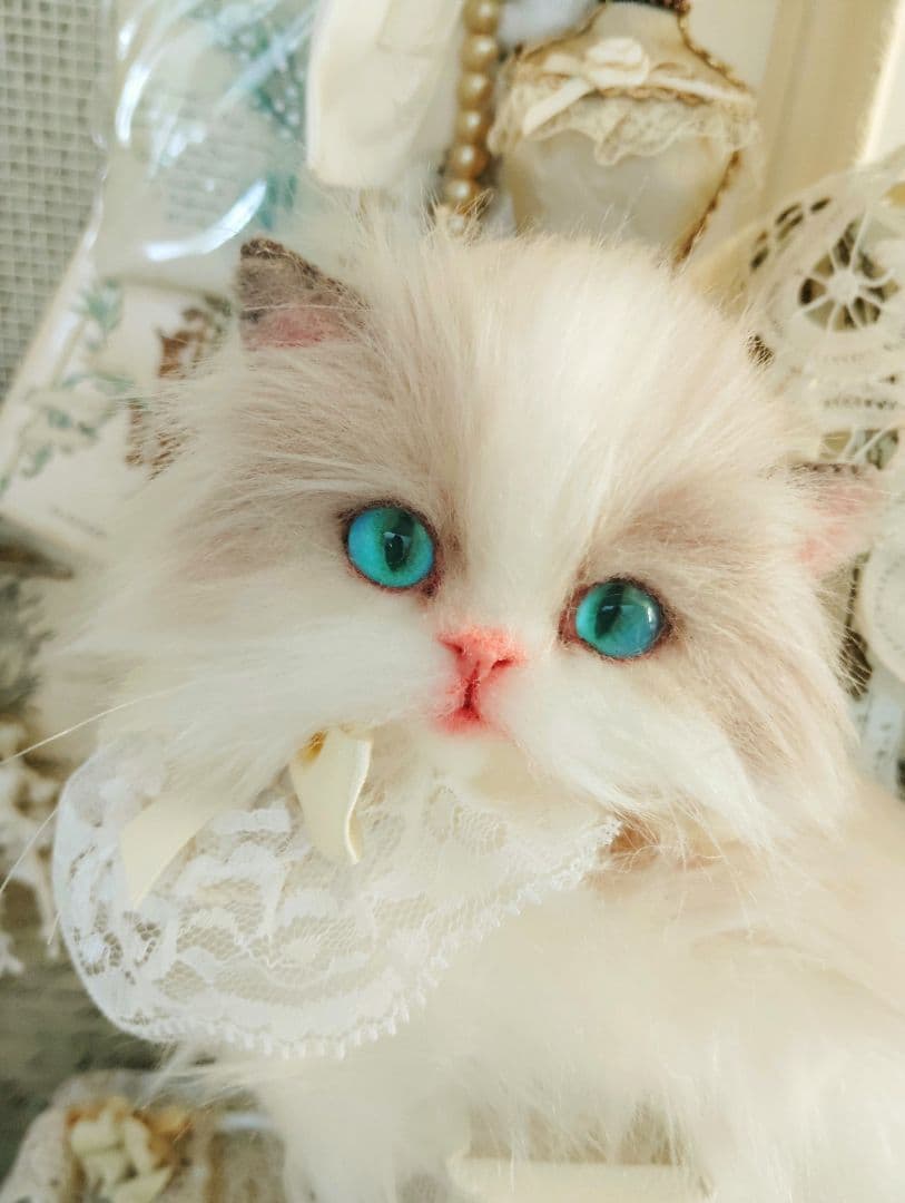ラグドール♡美人猫♡生後6ヶ月子猫ちゃん♡アートドール♡ぬいぐるみ♡