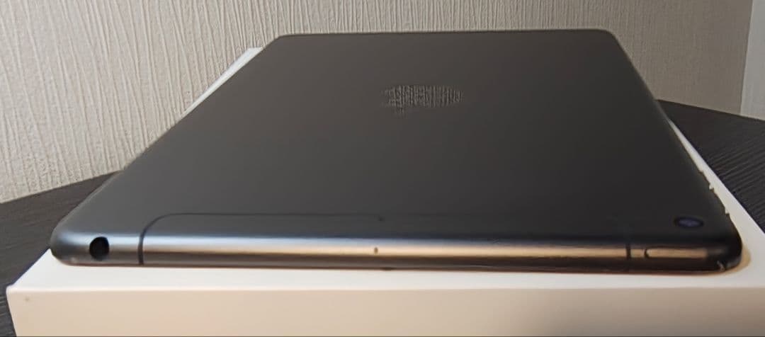 Apple iPad mini 5 スペースグレー セルラー256GBおまけ付き