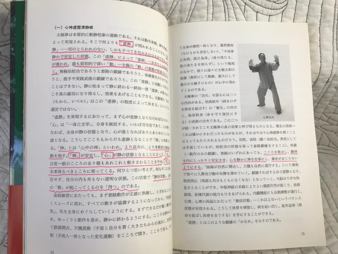 「陳式心意混元太極拳: 馮志強真伝」 馮志強