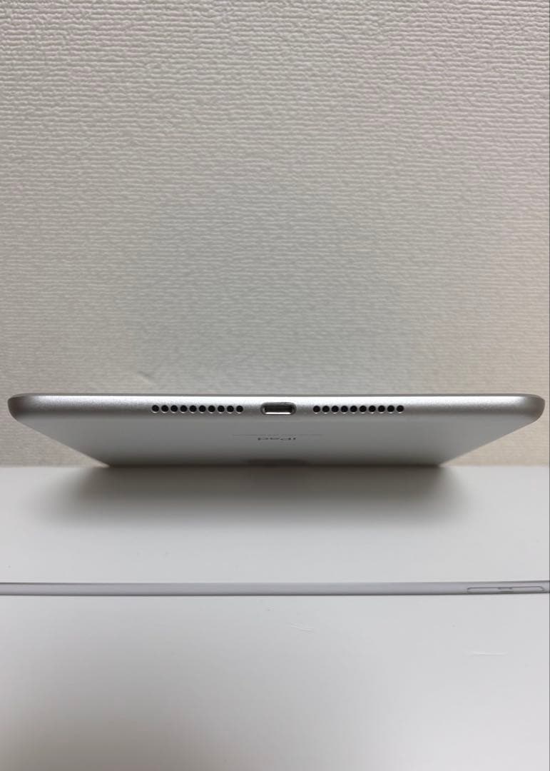 iPad mini5 Wi-Fi+Cell 64GB 美品 箱付