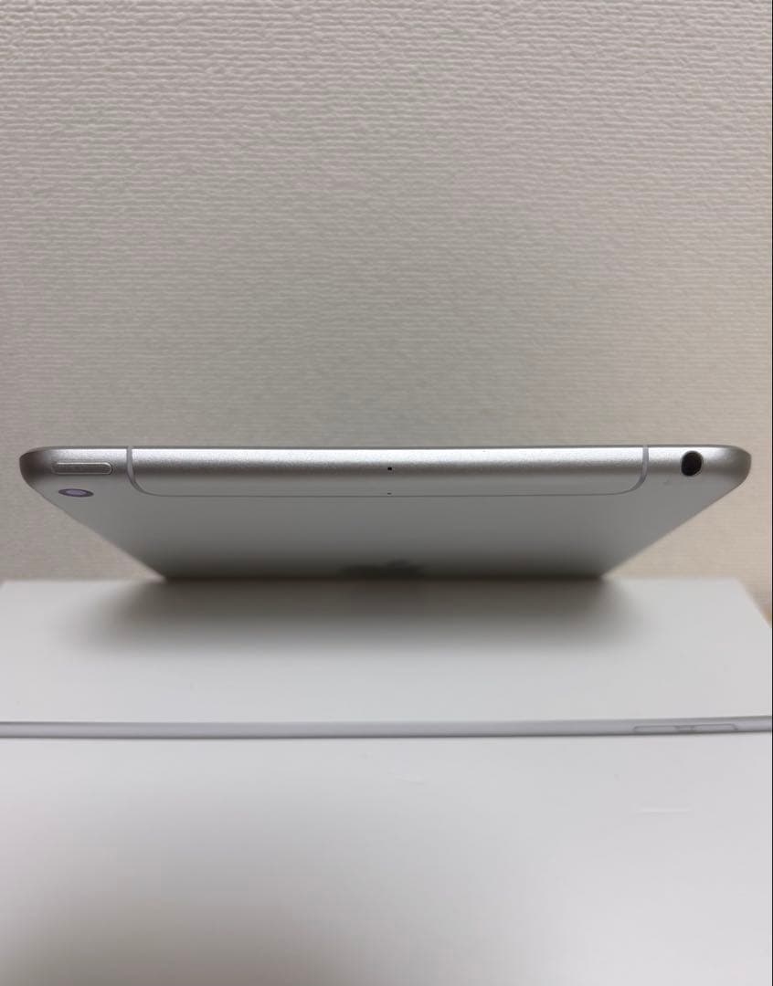 iPad mini5 Wi-Fi+Cell 64GB 美品 箱付