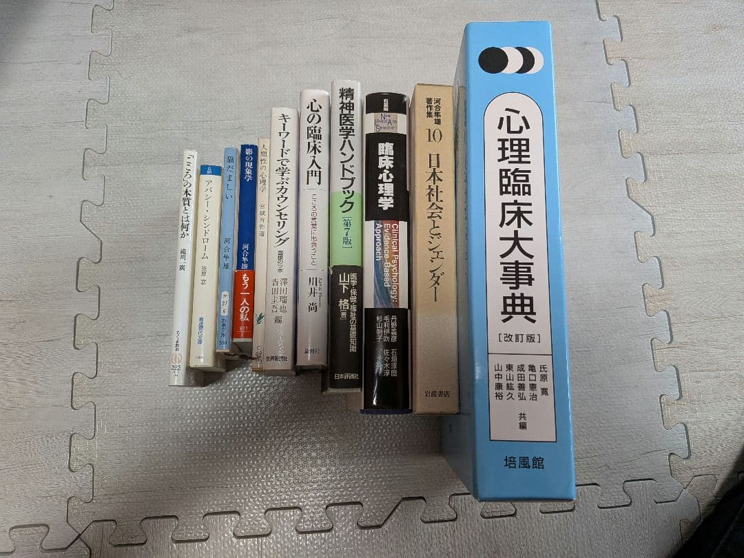 心理臨床大事典 改訂版　その他　心理学参考書