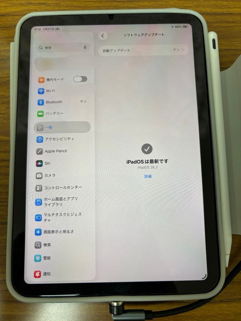 iPad mini 第6世代 64GB Wi-Fi 箱なし　社外ペン　ケース付