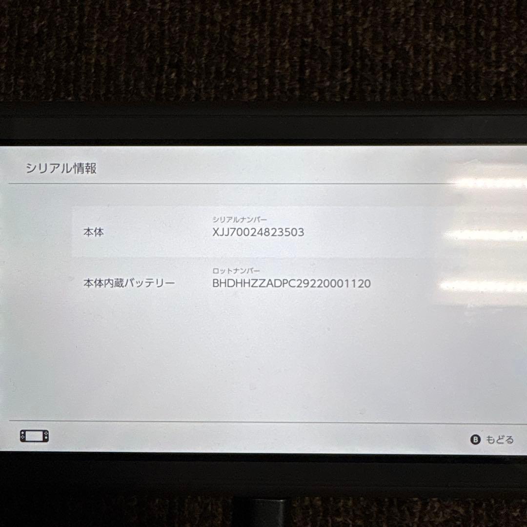 Nintendo Switch Lite グレー ケース・64GSDカード付き
